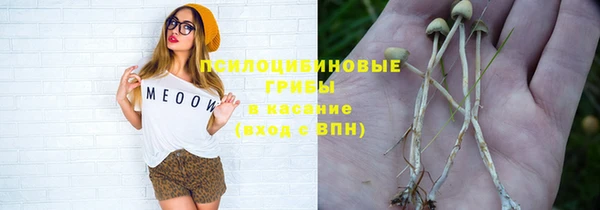 ешки Волоколамск