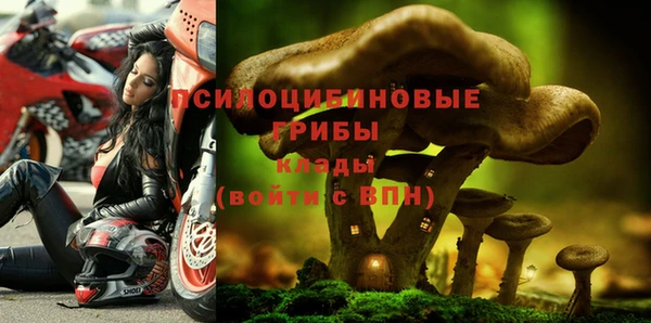 ешки Волоколамск